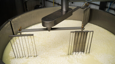 Плава РБ: «ОВЕН знают везде»