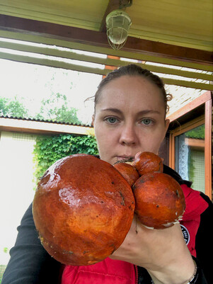 Грибная пора – чудесный период для восстановления