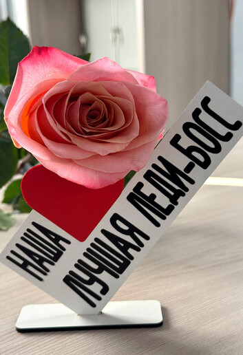 У нас сложилась сильная команда